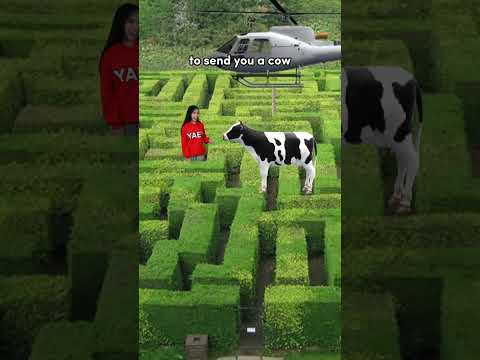 Chapter 48: How to escape a maze in 3 steps