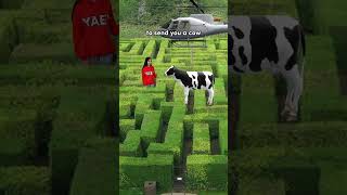 Chapter 48: How to escape a maze in 3 steps