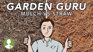 Which Mulch is the Best for Your Landscape | Dig In