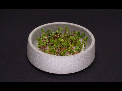 Denk Microgarden timelapse (Duits)