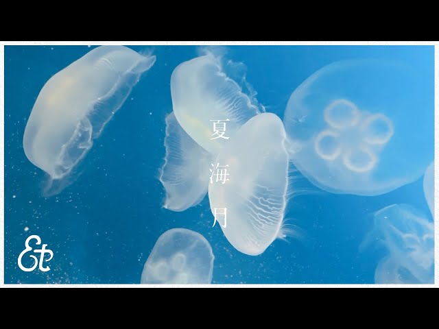 et-アンド-、7月15日に夏を彩る新曲「夏海月」をリリース!そのミュージックビデオも公開! 3 YouTubeサムネイル