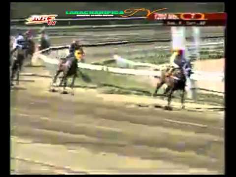 LA RINCONADA 7 CARRERA DOMINGO 01 DE FEBRERO DEL 2015