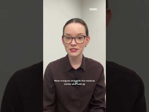 Thumbnail for How cruise lines keep deaths in the Gulf from spoiling the party