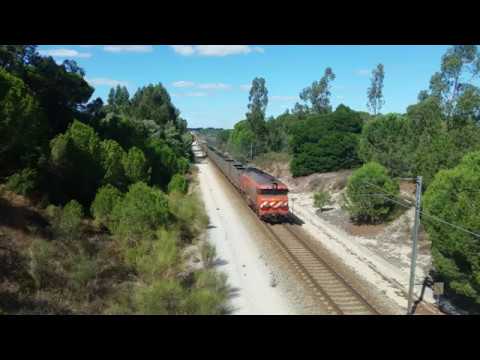 Comboio Especial n.º 91203/2 - Zambujal