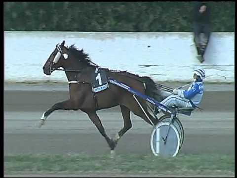 Trotto 12/02/2016 - 4° corsa