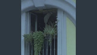 Cover art for becarefulupthere