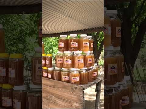 Villa de las Rosas ERRORES #bloopers #blooper #villadelasrosas