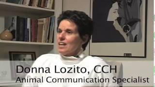 Animal Communication Explained by Donna Lozito