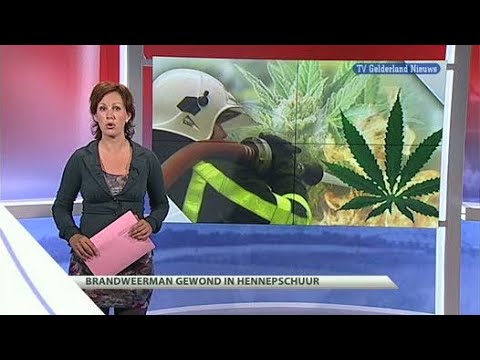 GLD Nieuws 22 augustus 2011 - Nieuws