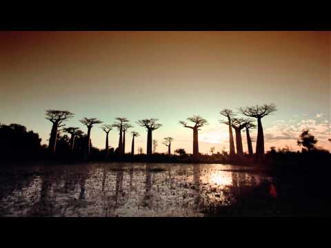 The Greatest Places (1998) | Official Teaser