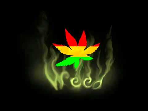 MaccaBraa (Kamil Bednarek) & Staff