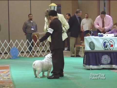 BCA 2009 Abimael Arroyo