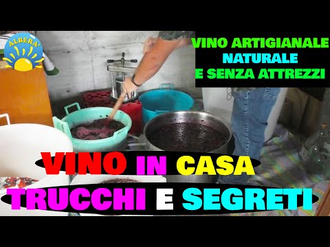 A guide to making artisanal wine at home (natural and without tools).