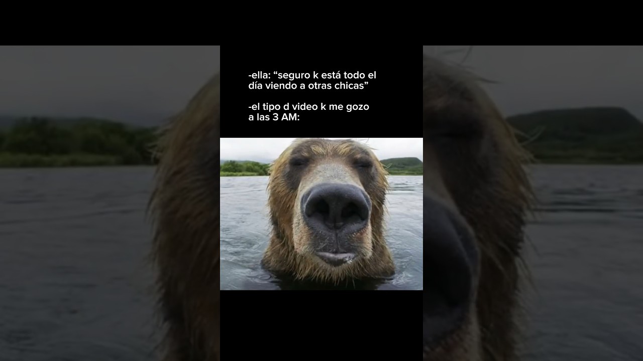 en efecto es cine 🚬 #memes #humor #pareja #oso #animales #naturaleza