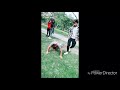Funny Videos Comedy Marathi Marathi Comedy Show New Tiktok Video