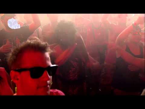 Tomorrowland 2013 - Michael Calfan