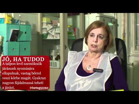 Giardia duodenalis cisztái és trophozoitái