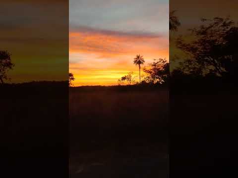 pelas estradas de Mato Grosso 🇧🇷 Vila Bela da Santíssima Trindade-MT 💚