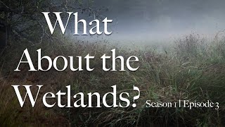 What About the Wetlands? S1 Ep 03
