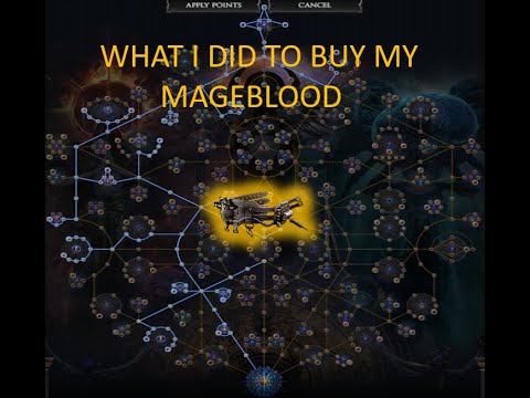 [POE 3.17] How I farmed my MAGEBLOOD in 1 week