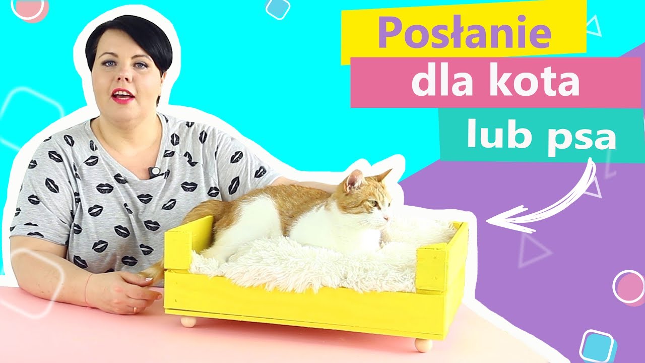 Jak zrobić legowisko dla kota lub psa ze skrzynki | Twoje DIY #26