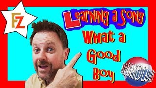 What a Good Boy (Barenaked Ladies) - Learning a Song