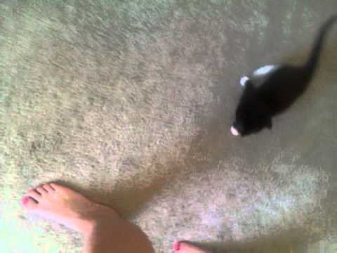 Rosie followin me around :)