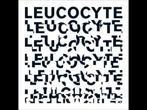 Esbjörn Svensson Trio - Leucocyte (Full Album)