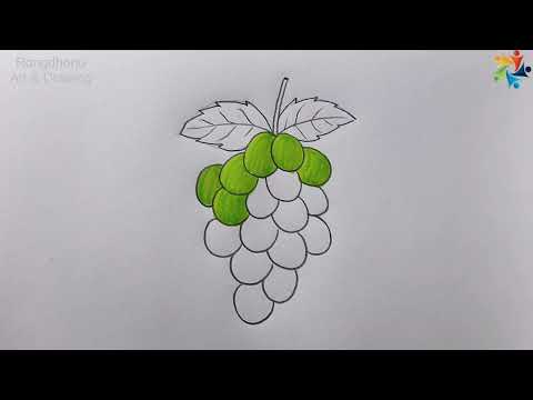 How to draw Grapes || Angur Drawing || Fruits Art