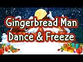 Gingerbread Man Dance and Freeze | Jack Hartmann | Holiday Freeze Dance