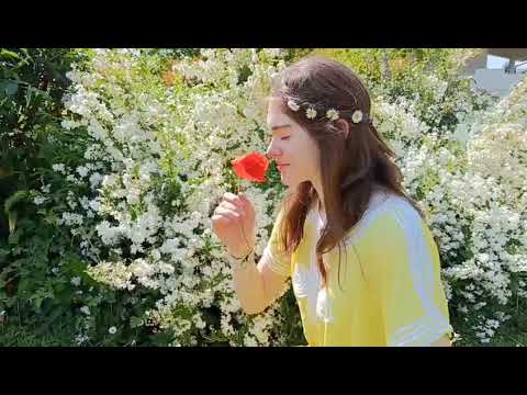 Il Trio magico - booktrailer - Ispirato al libro "Io sono Persefone" di Daniele Coluzzi.