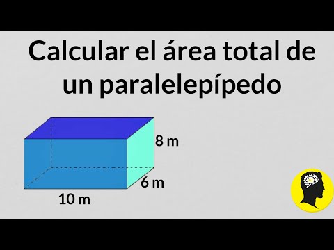 Area total de un paralelepipedo