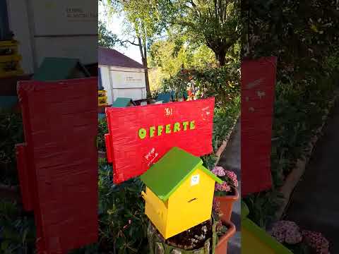 Katzenkolonie im Forte Maghera bei Mestre (Venedig) am 7. November 2023