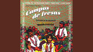 I&#39;m looking Through You