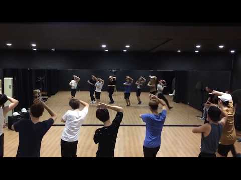 Dance Practice Lion Heart   Girls' Generation SNSD PARODY by St 319's BOYS