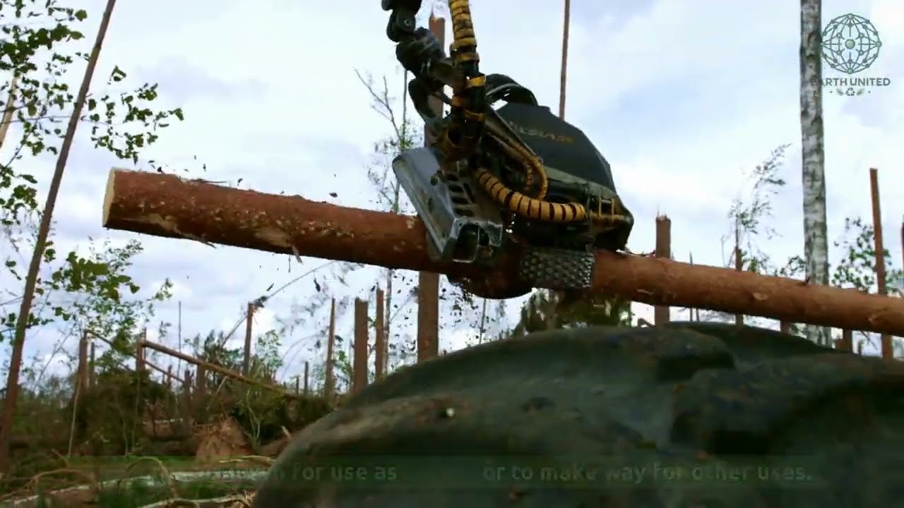 Deforestation
