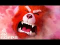 Turning Red: Mei Turns Into Red Panda at School 4K 60FPS