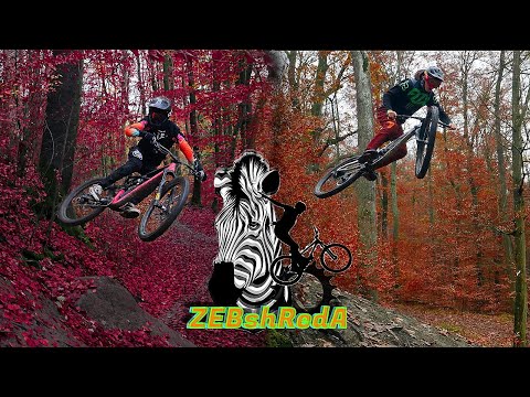 Mtb Freeriding in Stuttgart? - Trying new tricks and Freeride mtb madness ! ZEBshRedA #1 - Folge 1