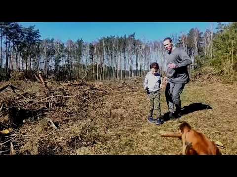 VitoWS - Pierwszy Dzień Wiosny