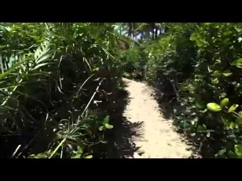 Praia de algodões verão