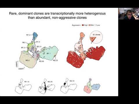 Keynote: Global views of cell lineage in metastasis and development