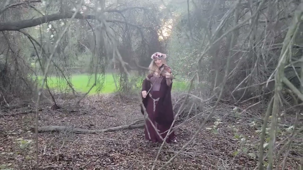 Promotional video thumbnail 3 for Dorothea Barth