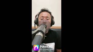 【The Spring Rolls - クエン酸ブルーズ】セルフ・カバー