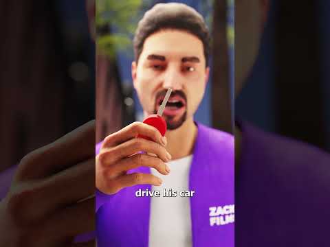 The Baby Bird That Took An Uber Alone 😮