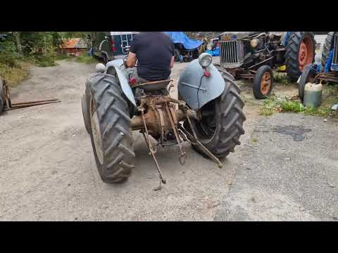 Videoklipp