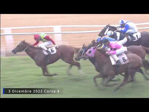 Galoppo corse del 3 Dicembre 2022