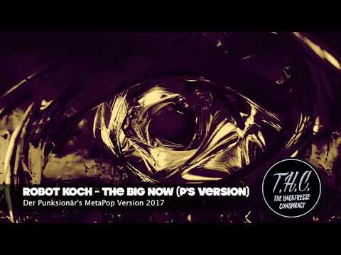 Robot Koch ft. Little Ashes - The Big Now (PUNXiONAIR's Version)(2017)