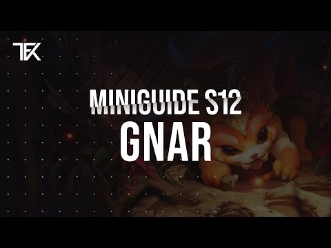 Gnar Miniguide S12 german | TFK