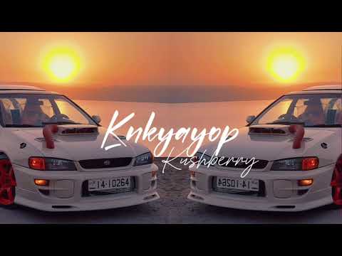 KNKYAYOP x NISKA - COLLABO (REMIX REGGAE 2025) (Dédicace à la bande de kunié 74🎶)