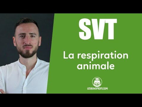 La respiration animale